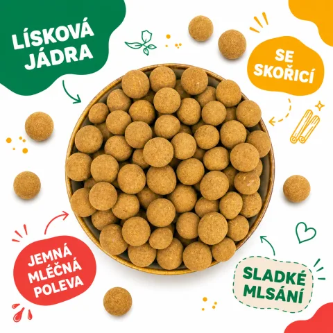 Lísková jádra se skořicí v mléčné polevě — náhled 2