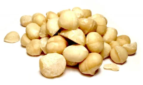 Makadamové ořechy